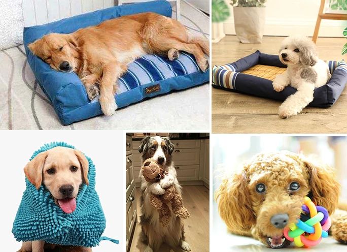 潔匠凈化·的凈工業除臭劑_寵物氣味彌漫整個屋子，潔匠凈化教您如何除味